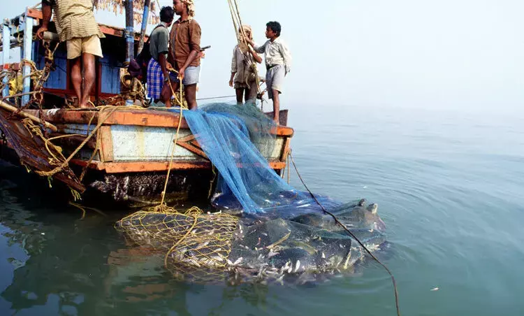 Fishing to become an offence in India soon? - Rediff.com