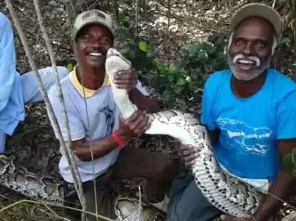 Snake catcher dies as python bites him : The Tribune India