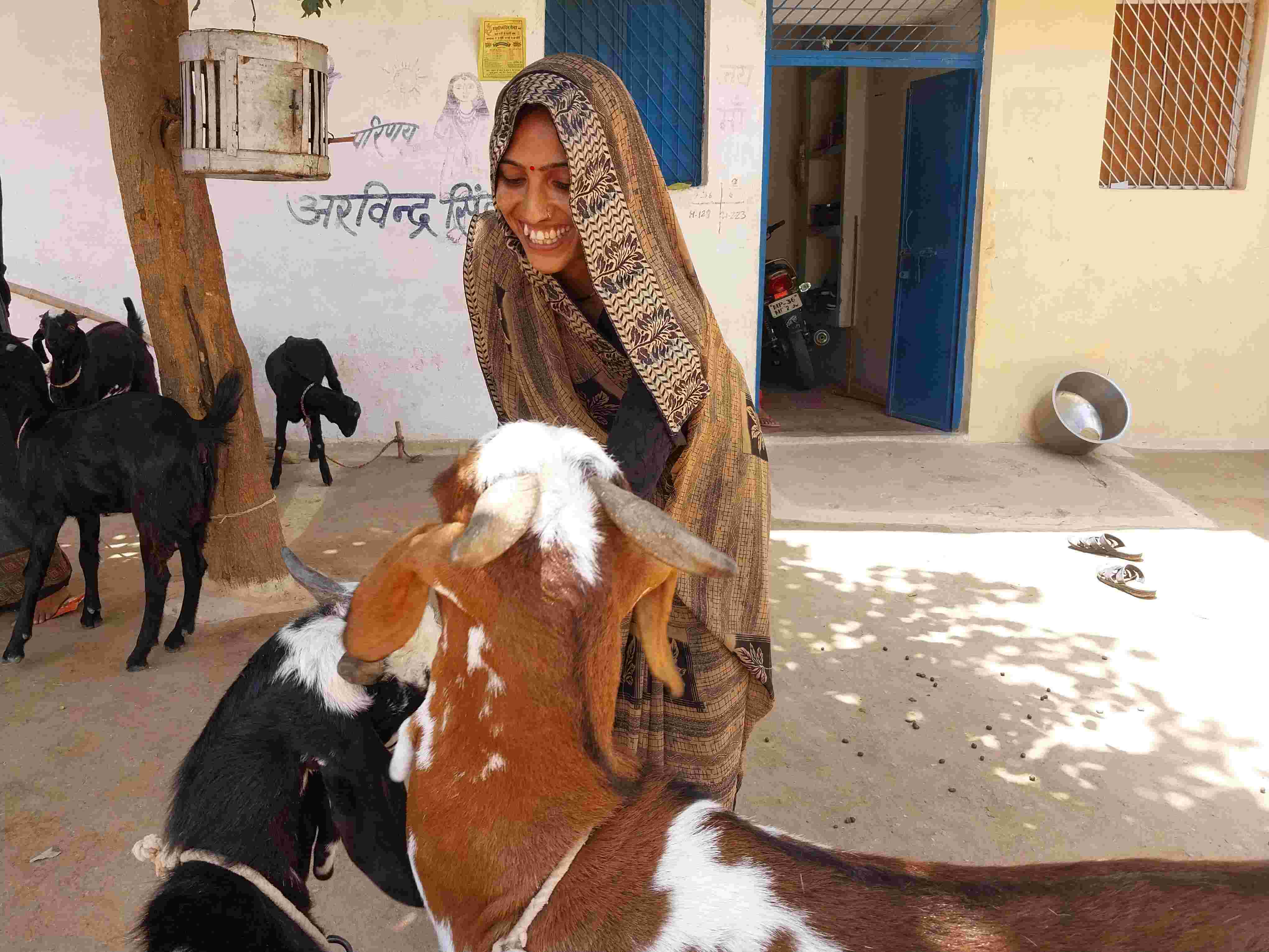 Meet Pashu Sakhis, The Goat’s Best Buddy